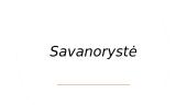 Savanorystė (skaidrės)