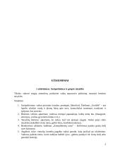 Planas, kurio pagalba galima padėti spręsti problemas, kurias patiria socialinę riziką patiriantys vaikai 3 puslapis