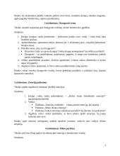 Planas, kurio pagalba galima padėti spręsti problemas, kurias patiria socialinę riziką patiriantys vaikai 4 puslapis