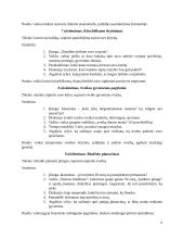 Planas, kurio pagalba galima padėti spręsti problemas, kurias patiria socialinę riziką patiriantys vaikai 6 puslapis