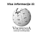 Skaidrės apie Los Andželą 11 puslapis