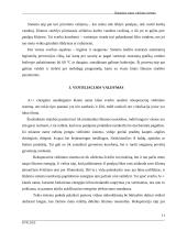 Išmanaus namo projektas 10 puslapis