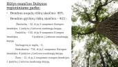 Dubysos regioninis parkas (skaidrės) 5 puslapis
