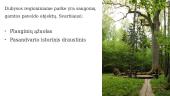 Dubysos regioninis parkas (skaidrės) 8 puslapis
