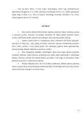 Duonos be glitimo gamybos technologija 10 puslapis