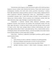 Duonos be glitimo gamybos technologija 3 puslapis