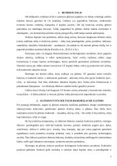 Duonos be glitimo gamybos technologija 4 puslapis