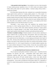 Duonos be glitimo gamybos technologija 7 puslapis