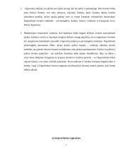 Užgavėnių tradicijos ir jų aktualumas 6 puslapis