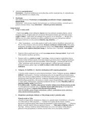 Jurgio Kunčino romano „Tūla“ analizė 2 puslapis