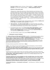 Jurgio Kunčino romano „Tūla“ analizė 3 puslapis