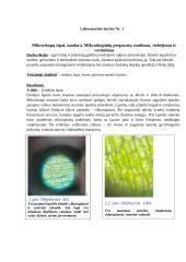 Mikroskopų tipai, sandara. Mikroskopinių preparatų ruošimas, stebėjimas ir vertinimas