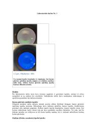 Mikroskopų tipai, sandara. Mikroskopinių preparatų ruošimas, stebėjimas ir vertinimas 3 puslapis