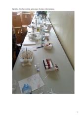 Geriamojo vandens tyrimai 7 puslapis