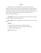 Administracinės teisės subjektai ir jų bruožai 2 puslapis