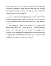 Lietuvių fotomenininko kūrybos analizė 2 puslapis