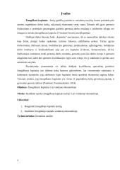 ,,Žmogiškasis” kapitalas ir jo vaidmuo ekonomikoje 2 puslapis