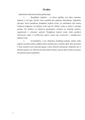 ,,Žmogiškasis” kapitalas ir jo vaidmuo ekonomikoje 6 puslapis