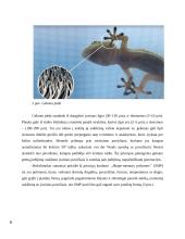 Kontroliuojama adhezija iš gamtos 5 puslapis