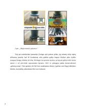 Kontroliuojama adhezija iš gamtos 6 puslapis