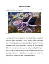 Kontroliuojama adhezija iš gamtos 7 puslapis