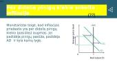 Infliacija. Infliacijos rūšys ir priežastys. Infliacijos matavimas. Vartotojų kainų indeksas 17 puslapis