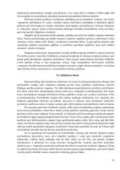 Kognityvinės elgesio terapijos stiprinimas psichodelinės terapijos principais 14 puslapis