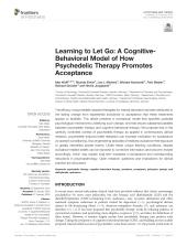 Kognityvinės elgesio terapijos stiprinimas psichodelinės terapijos principais 17 puslapis