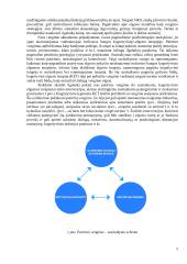 Kognityvinės elgesio terapijos stiprinimas psichodelinės terapijos principais 4 puslapis