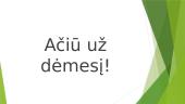 Mąstymas ir kalba (skaidrės) 12 puslapis