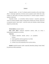 Tarptautinė muitinė – kas tai ir kaip veikia? 2 puslapis