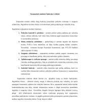 Tarptautinė muitinė – kas tai ir kaip veikia? 4 puslapis