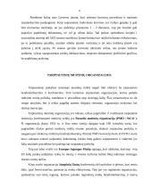 Tarptautinė muitinė – kas tai ir kaip veikia? 5 puslapis