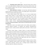 Tarptautinė muitinė – kas tai ir kaip veikia? 7 puslapis