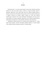 Tarptautinė muitinė – kas tai ir kaip veikia? 9 puslapis