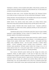 Antano Vaičiulaičio pasakos. Pagrindiniai bruožai. Vertybinių nuostatų svarba. Stiliaus ypatybės 3 puslapis