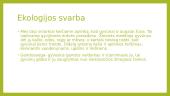 Ekologija. Pristatymas 19 puslapis