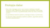 Ekologija. Pristatymas 8 puslapis