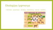 Ekologija. Pristatymas 9 puslapis