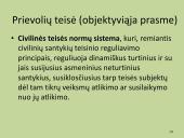 Civilinė teisė. Specialioji dalis. Išsamus konspektas 14 puslapis