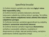 Civilinė teisė. Specialioji dalis. Išsamus konspektas 7 puslapis