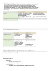 Tarp­tau­ti­nės tei­sės šal­ti­niai 6 puslapis