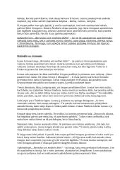 Leono Leizono knyga „Berniukas ant medinės dėžės“ 3 puslapis