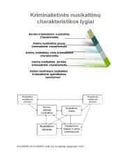 Kriminalistikos metodika. Konspektas 14 puslapis