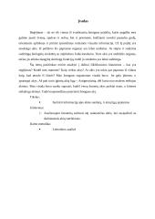 Akies sandara bei akių sutrikimai ir jų ypatumai 2 puslapis