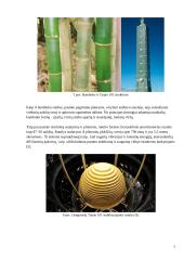 Bambuko augimo struktūra ir jos įkvėpimas tvariai architektūrai 7 puslapis