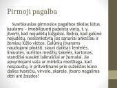 Pirmoji medicinos pagalba sumušimų, žaizdų ir kaulų lūžių atvejais 16 puslapis