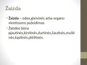 Pirmoji medicinos pagalba sumušimų, žaizdų ir kaulų lūžių atvejais 9 puslapis