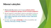 Ikimoderniųjų laikų kariniai konfliktai ir tarptautinių santykių sistemos susikūrimas 10 puslapis