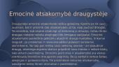 Atsakomybė kaip draugystės santykio pagrindas 4 puslapis